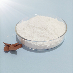 Hydrophilic fused silica pulveris